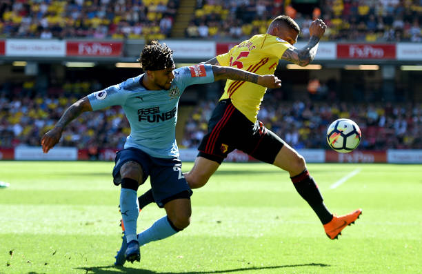 优质人才的 优质人才的