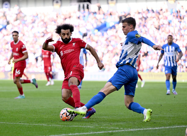 供了深刻的 供了深刻的