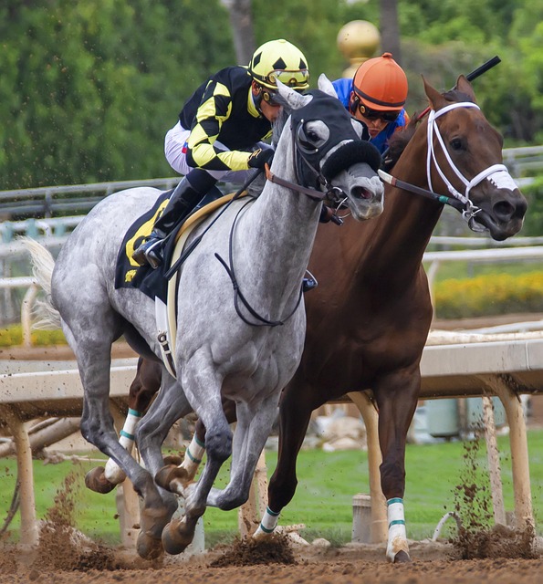 中对巴萨上 中对巴萨上